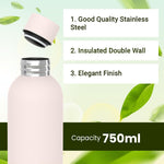 Load image into Gallery viewer, Stainless Steel Insulated Water Bottle 24 Hours Hot and Cold Leak-Proof 750ml