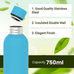 Load image into Gallery viewer, Stainless Steel Insulated Water Bottle 24 Hours Hot and Cold Leak-Proof 750ml