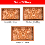 Load image into Gallery viewer, Rioware Wooden Trays Enamel Coated Set of 3
